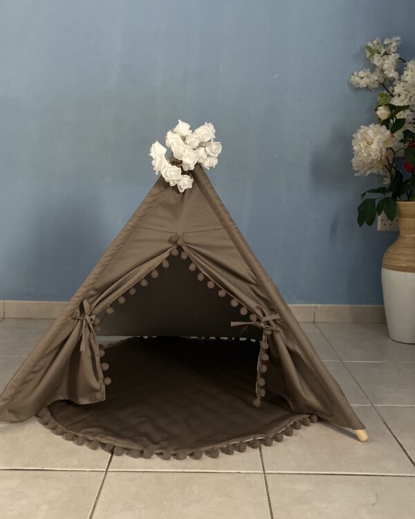 Pet Teepee with Mat