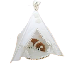 Pet White Teepee with Mat