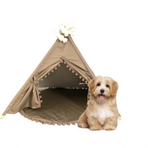 Pet Teepee with Mat