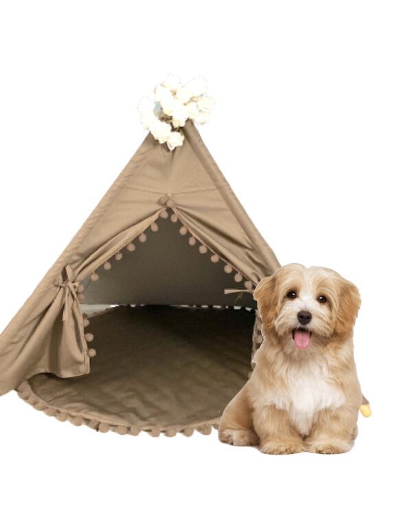 Pet Teepee with Mat