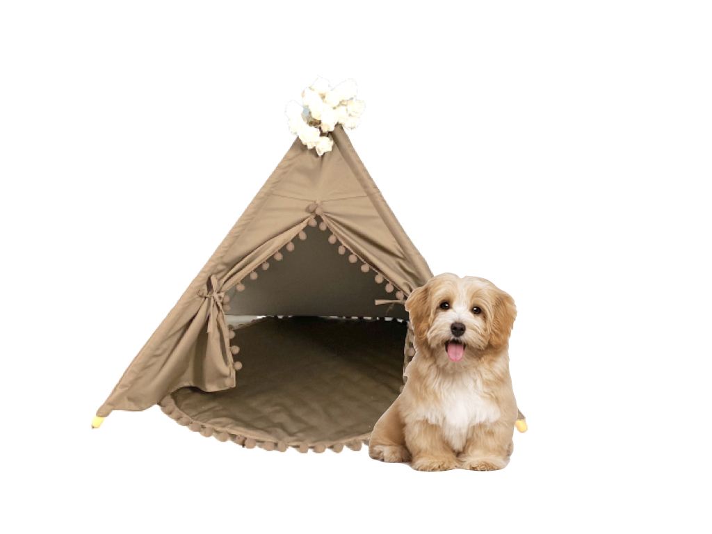 Pet Teepee with Mat