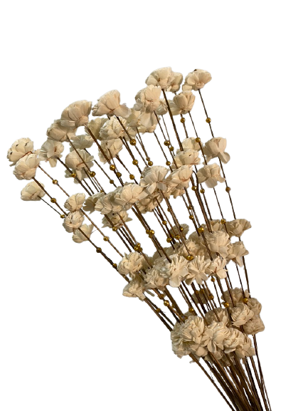 Coco White Flowers  Set of 10 Stems