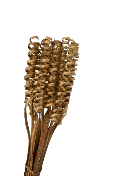 Spring Stem Golden 10 Pcs Set for Vase