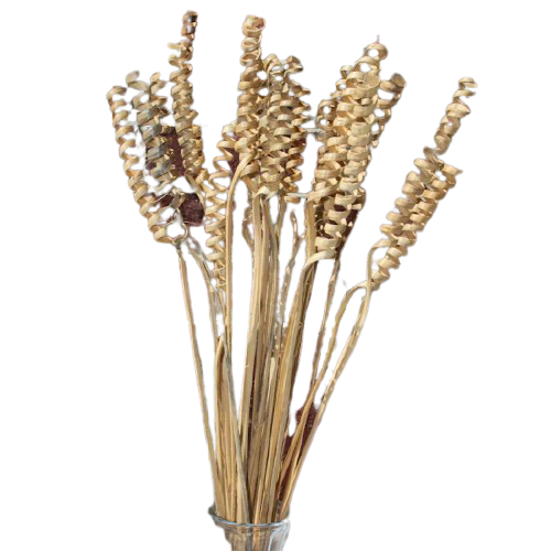 Spring Stem Golden 10 Pcs Set for Vase