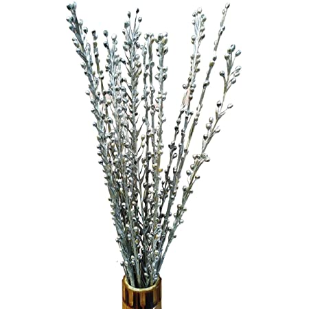 Pearl Silver Stems 10 Pcs Set for Vase