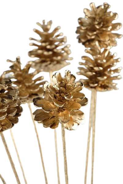 Eco Dried Pine Cone Golden Stick 10 pcs set