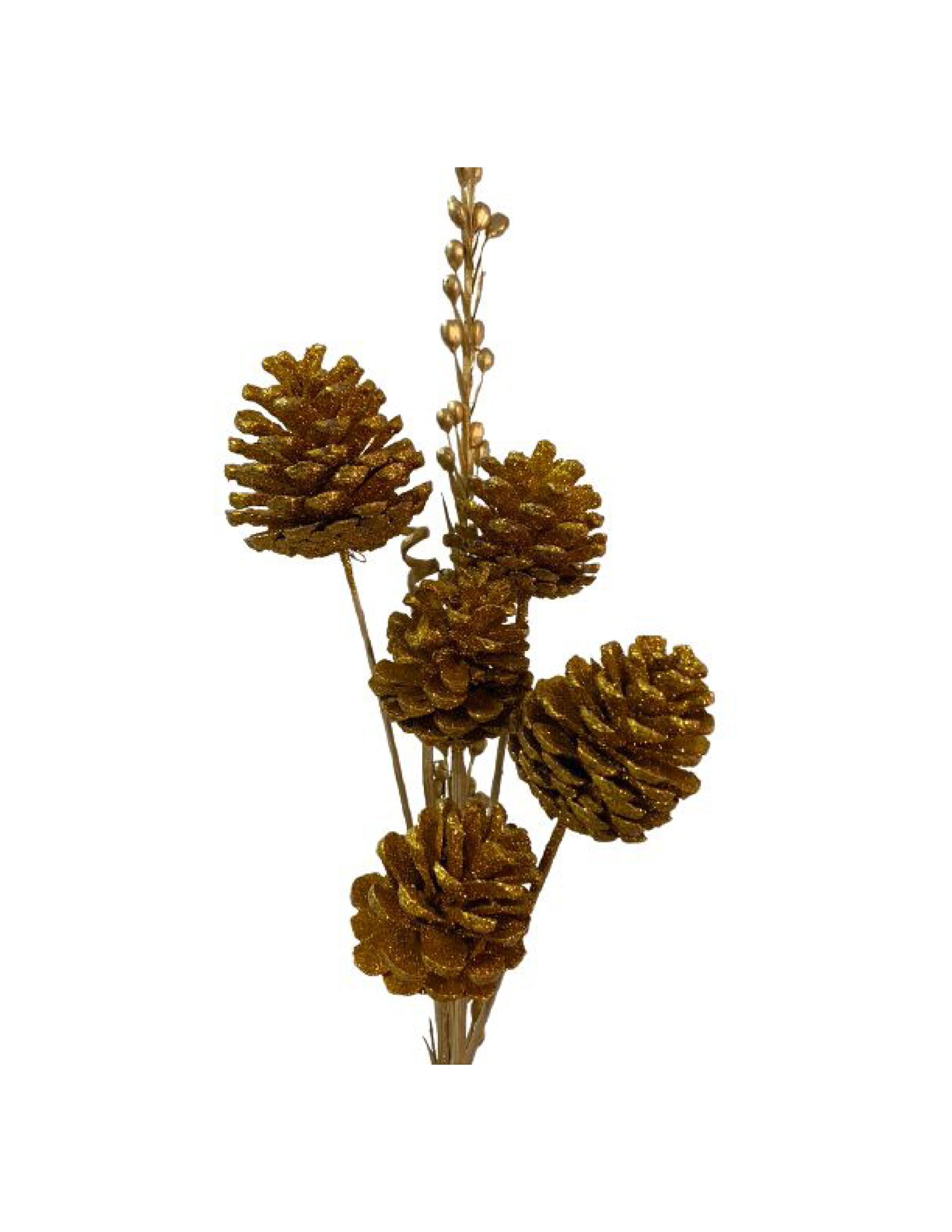 Dried Pine Cone Copper Sticks 10 pcs set for Vase