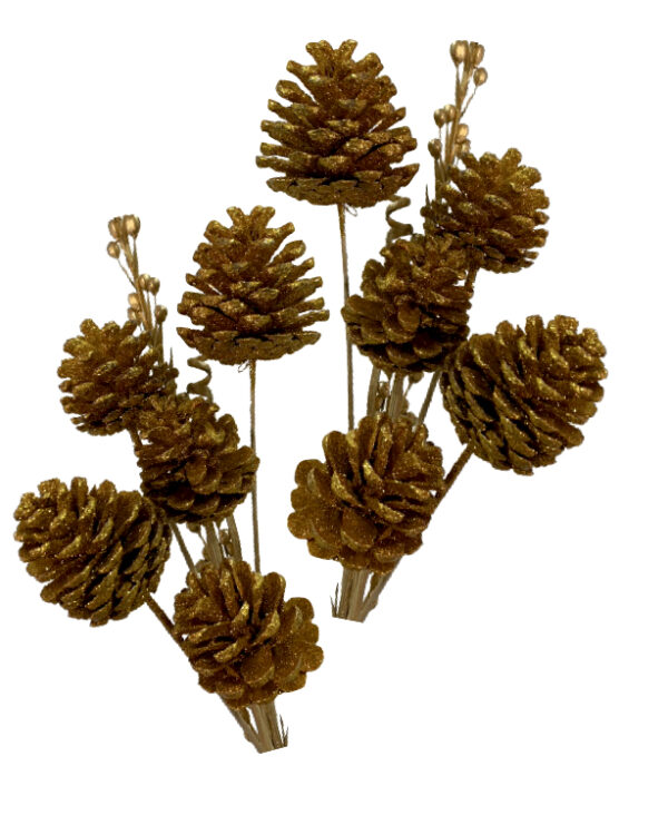 Dried Pine Cone Copper Sticks 10 pcs set for Vase