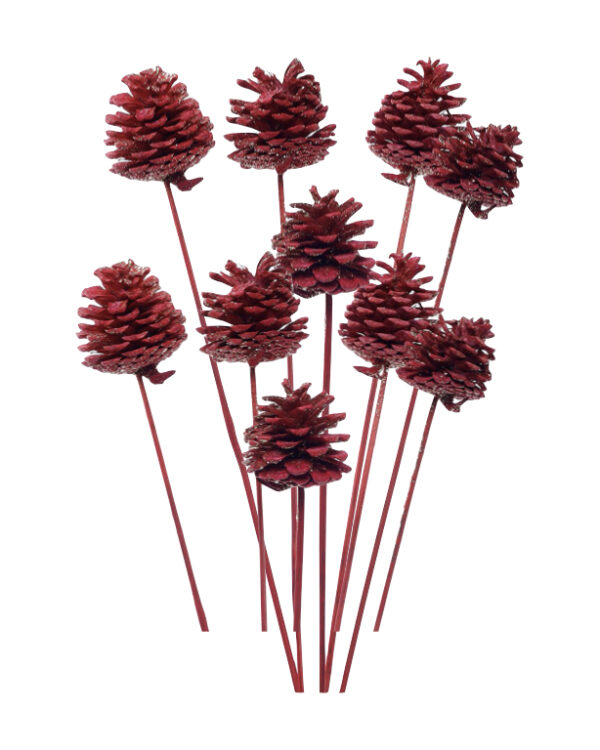 Dried Pine Cone Glitter Red Stick 10 pcs set for Vase