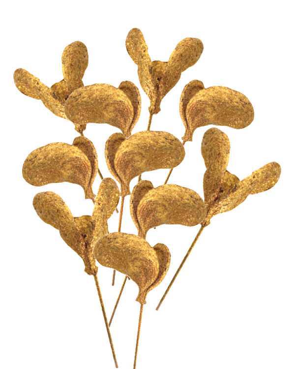 Dried Almond Golden Sticks Set of 10 for Vase