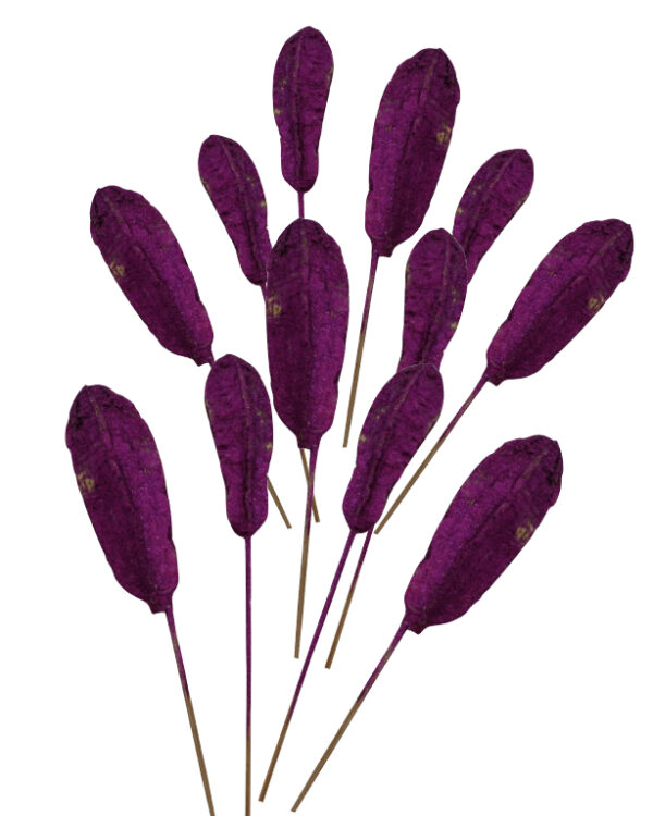 Dried Mahagoni Glitter Violet Set of 10 for Vase