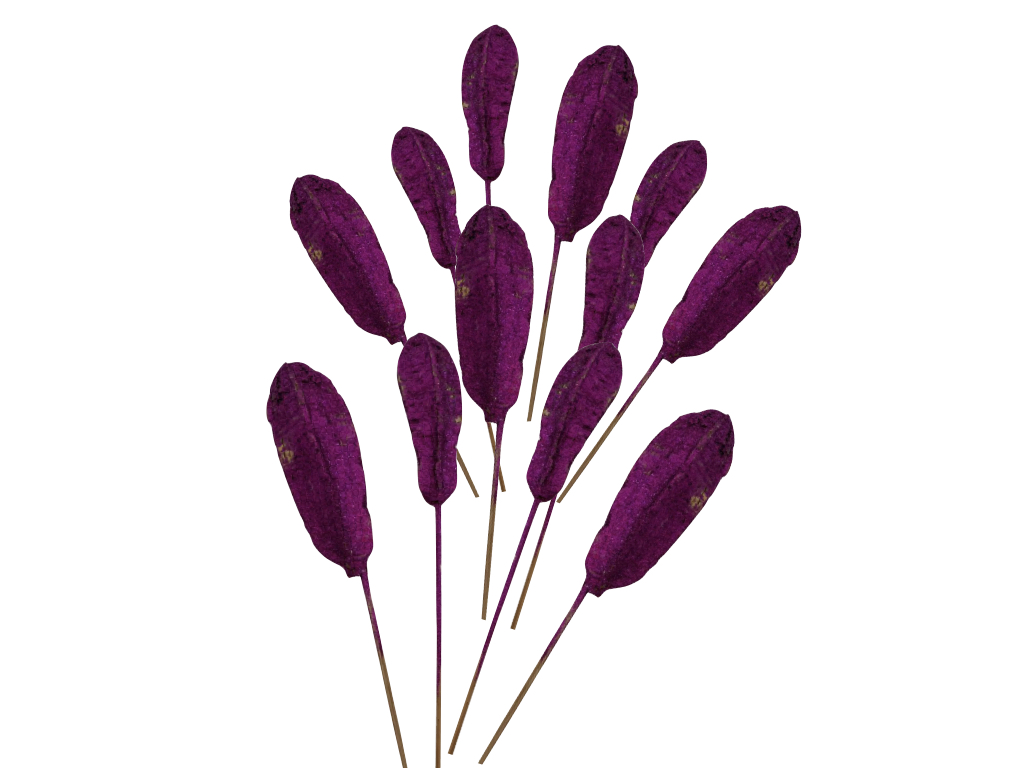 Dried Mahagoni Glitter Violet Set of 10 for Vase