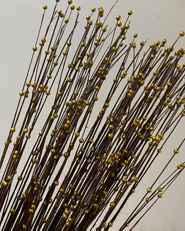 Dried Sticks Brown with Golden Beads