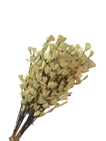 Palm Belle Sticks – 10 pcs Set