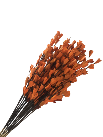 Lily Orange Stems 10 Pcs Set