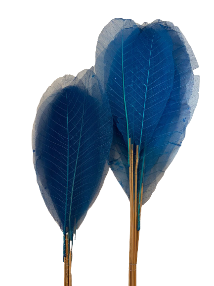Dried Leaves Long  Green Blue