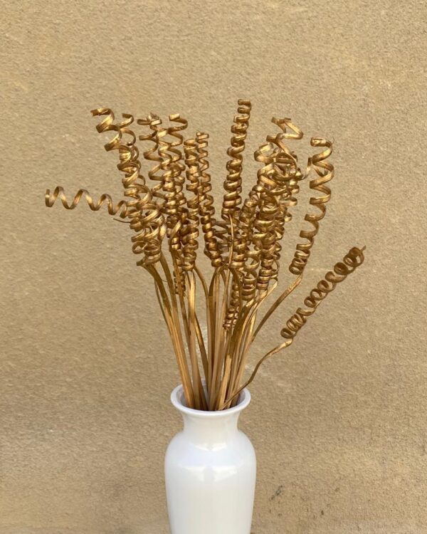 Spring Stem Golden 10 Pcs Set for Vase