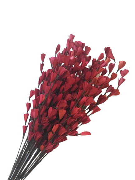 Palm Belle Red Sticks 10 Pcs Set